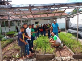 Horta escolar AMAZONIATEC