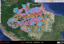 Plataforma do Ipam monitora desmatamento na Amazônia legal Plataforma do Ipan e Banco Mundial