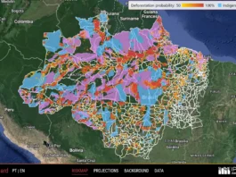 Plataforma do Ipan e Banco Mundial