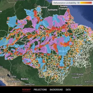 Plataforma do Ipam monitora desmatamento na Amazônia legal Plataforma do Ipan e Banco Mundial