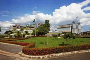 Captura-de-tela-2024-05-02-182244-300x200 Dow Divulga Projetos Aprovados do Edital de Responsabilidade Social