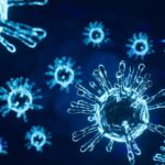 Molécula produzida naturalmente no intestino pode combater a gripe Molécula do vírus da gripe