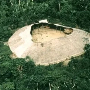 USAID investe US$ 21 mi em projetos sustentáveis na Amazônia usaid investe em territórios indígenas