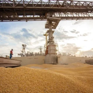 Portos Amazônicos lideram exportação de milho do Brasil Portos na Amazônia