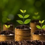 Montante do Crédito Rural Alcançou R$ 347,2 Bilhões em 10 Meses plano safra 2023 2024