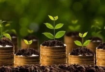 Montante do Crédito Rural Alcançou R$ 347,2 Bilhões em 10 Meses plano safra 2023 2024