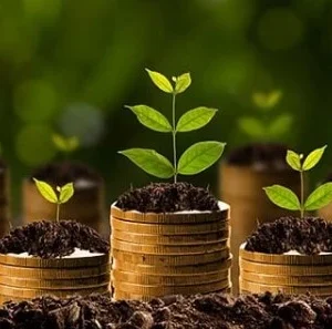 Montante do Crédito Rural Alcançou R$ 347,2 Bilhões em 10 Meses plano safra 2023 2024