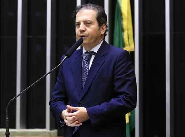 projeto do eucalipto