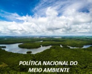 cultivo do eucalipto