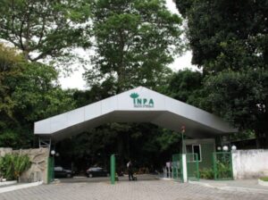 Neusa Hamada é nova membro da Academia Brasileira de Ciências 4 Professora Neusa Hamada