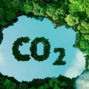 Amazonas Seleciona Projetos de Carbono em Grande Escala governo do Amazonas