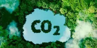 Amazonas Seleciona Projetos de Carbono em Grande Escala governo do Amazonas