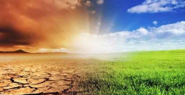 biodiversidade no clima