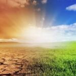 Lançado o Centro de Pesquisa em Biodiversidade e Mudanças do Clima cbioclima