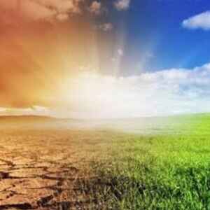 Lançado o Centro de Pesquisa em Biodiversidade e Mudanças do Clima cbioclima