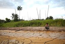 Efeito das Mudanças Climáticas nas Comunidades Indígenas do Brasil indígenas