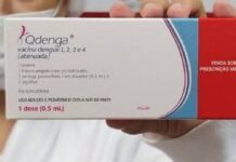 OMS pré-qualifica vacina contra a dengue usada no Brasil dengue