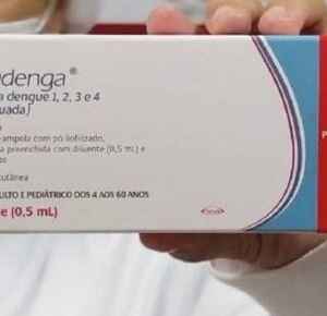 OMS pré-qualifica vacina contra a dengue usada no Brasil dengue
