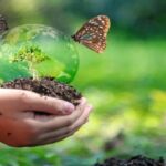 Manaus Sedia Workshop Internacional de Biodiversidade workshop