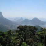 Nova Abordagem para a Proteção da Mata Atlântica conservação