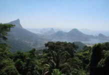 O fôlego renovado da Mata Atlântica em uma década de avanços. conservação