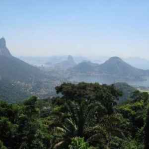 O fôlego renovado da Mata Atlântica em uma década de avanços. conservação