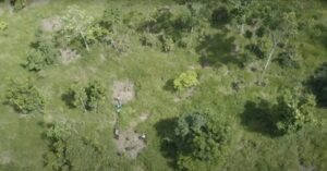 Captura-de-tela-2024-05-21-164133-300x157 Técnica inovadora pode acelerar a restauração florestal