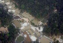 7 Universidades amazônicas estudarão contaminação por mercúrio Contaminação