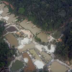 7 Universidades amazônicas estudarão contaminação por mercúrio Contaminação