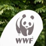 Captura-de-tela-2024-05-21-182928-150x150 7 Universidades amazônicas estudarão contaminação por mercúrio