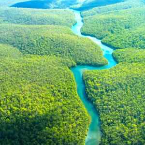 Edital Restaura Amazônia dispõe R$ 450 mi para recuperação florestal Amazônia