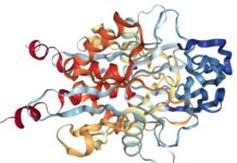 Descoberta Científica Revolucionaria no Entendimento do Câncer descoberta