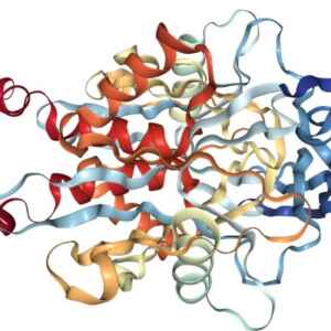 Descoberta Científica Revolucionaria no Entendimento do Câncer descoberta