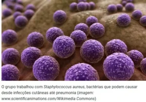 Captura-de-tela-2024-05-28-104931-300x211 Terapia com luz reduz resistência de bactéria a antibióticos