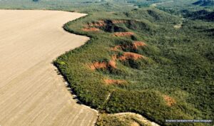 Captura-de-tela-2024-05-28-113058-300x177 Desmatamento no Brasil cai 11,6% em 2023, exceto no Cerrado