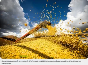 Captura-de-tela-2024-05-28-144356-300x221 Desmatamento no Brasil cai 11,6% em 2023, exceto no Cerrado