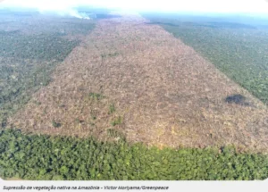 Captura-de-tela-2024-05-28-144442-300x215 Desmatamento no Brasil cai 11,6% em 2023, exceto no Cerrado