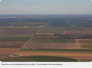 Captura-de-tela-2024-05-28-144536-300x221 Desmatamento no Brasil cai 11,6% em 2023, exceto no Cerrado