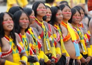 Captura-de-tela-2024-05-31-122017-300x213 Editais de até R$ 25 mil para mulheres indígenas da Amazônia e do Cerrado