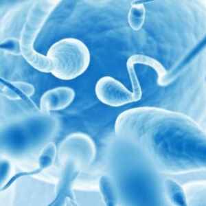 Vírus da COVID-19 pode persistir no esperma até 110 dias após infecção