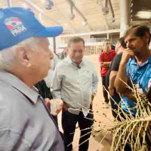 Máquina de colher açaí por controle remoto é a sensação do Festival do Açaí em Belém festival do açaí