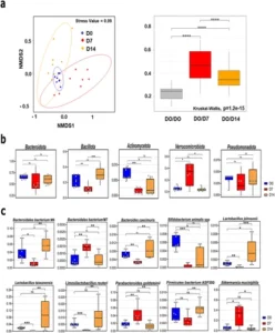 kgmi_a_2325067_f0001_oc-248x300 Molécula produzida naturalmente no intestino pode combater a gripe