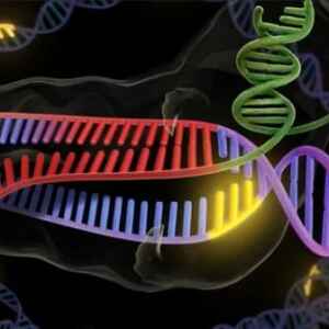 Descoberta nova causa genética da deficiência intelectual Genética