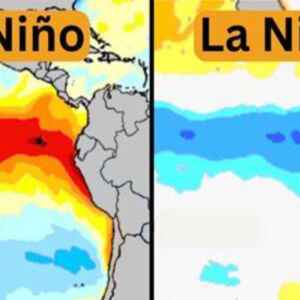 El Niño 2023/2024 Começa a Desaparecer, Aponta Organização da ONU el niño