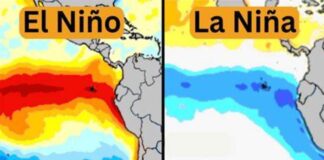 el niño