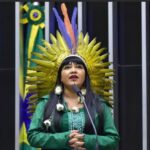 Comissão da Amazônia Realiza Audiência Pública sobre Direitos da Natureza Amazônia