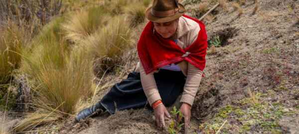 Captura de tela 2024 06 04 173807