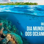 Rolex Comemora o Dia Mundial dos Oceanos Rolex