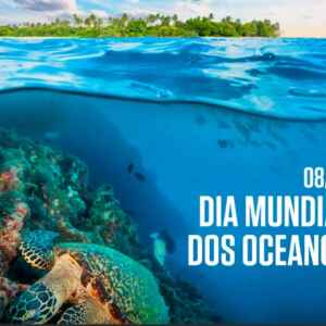 Rolex Comemora o Dia Mundial dos Oceanos Rolex