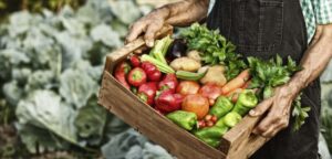 Captura-de-tela-2024-06-07-123646-300x144 Dia Mundial da Segurança Alimentar Promove Ações para Prevenir Doenças